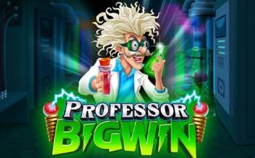 Professor Big Win slot