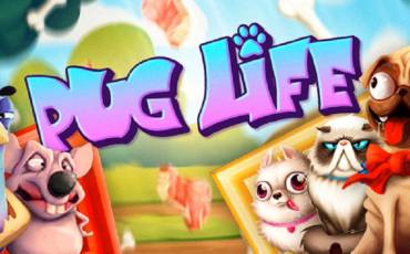 Pug Life slot