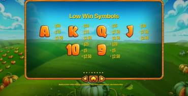 Pumpkin Patch: Paytable