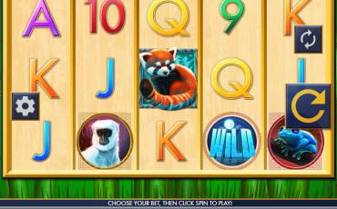 Red Panda Paradise slot