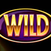 Reel Reel Hot: Wild