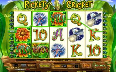 Rickety Cricket slot