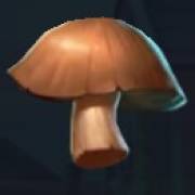 Rocco Gallo: Mushroom