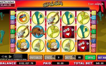 Salsa  slot