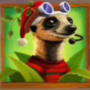 Santa's Vacation: Ferret