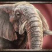 Savanna Roar: Elephant