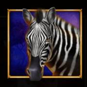 Savannah's Queen: Zebra