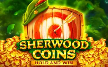 Sherwood Coins: Hold and Win slot