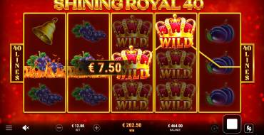 Shining Royal 40: Winnings