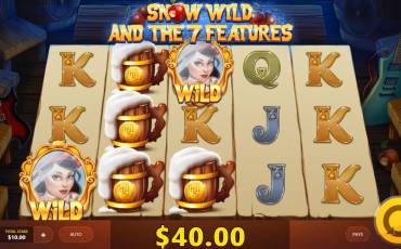 Snow Wild and the 7 Features slot