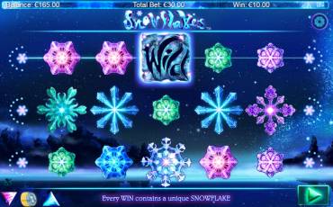 Snowflakes slot