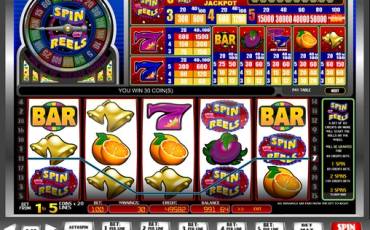 Spin or Reels slot