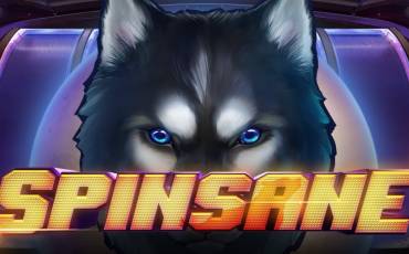 Spinsane slot