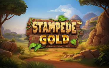 Stampede Gold slot