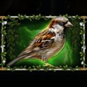 Story Of Gaia: Sparrow