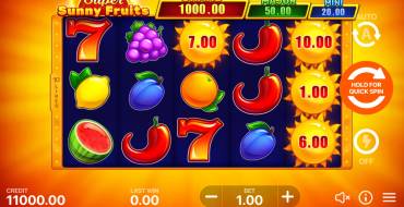 Super Sunny Fruits: Hold and Win