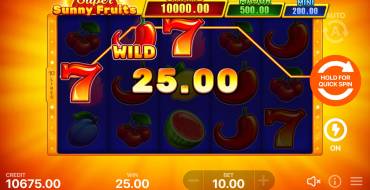 Super Sunny Fruits: Hold and Win: Winnings