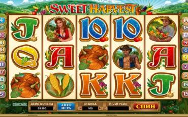 Sweet Harvest slot