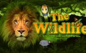 The Wildlife (Belatra)