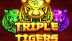 Triple Tigers