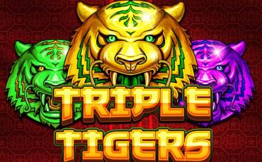 Triple Tigers slot