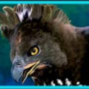 Untamed Crowned Eagle: symbol