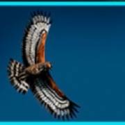 Untamed Crowned Eagle: symbol