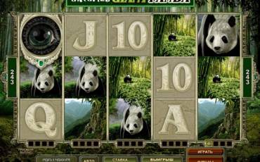 Untamed Giant Panda slot