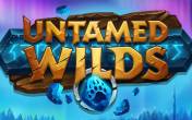 Untamed Wilds (Yggdrasil Gaming)