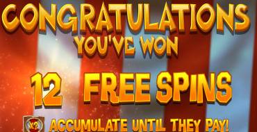 Viking Fury Spinfinity: Free spins and/or respins