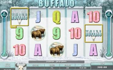 White Buffalo slot