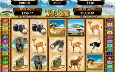 White Rhino slot