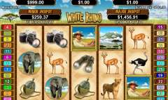 Play White Rhino