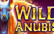 Wild Anubis (Amatic)