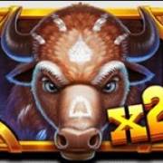 Wild Bison Charge: Wild X2