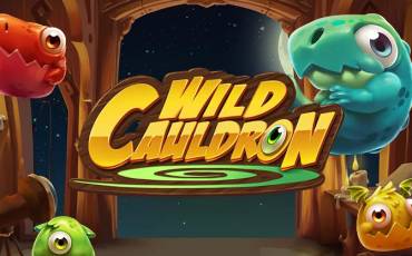 Wild Cauldron slot