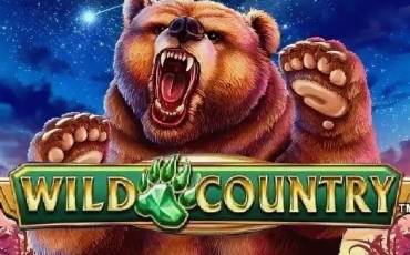 Wild Country slot