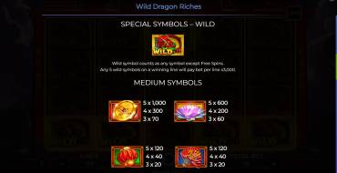 Wild Dragon Riches: Payout table