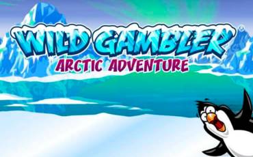 Wild Gambler – Arctic Adventure slot