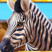 Wild Herd: Zebra