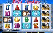 Wild Huskies (Bally Technologies)