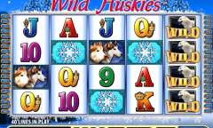 Play Wild Huskies