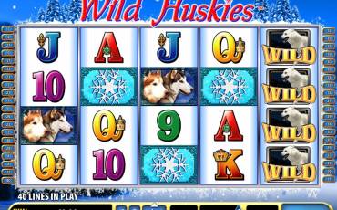 Wild Huskies slot