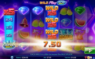 Wild Play: Super Bet slot