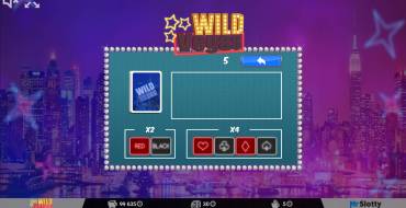 Wild Vegas: Additional feature