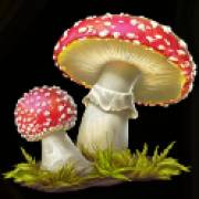 Wild Wild Riches: Fly agaric