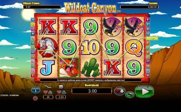 Wildcat Canyon slot