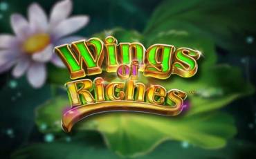 Wings of Riches slot