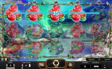 Winterberries slot