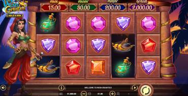 Wish Granted — Hold&Win: Slot machine